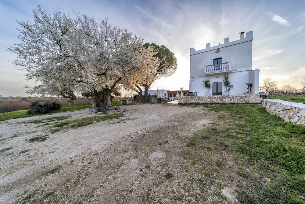 Tenuta del Grillaio