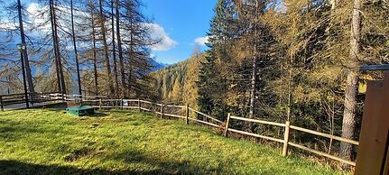 Residence Stelvio