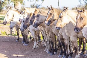 Estancia San Agustín