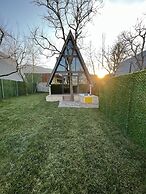 Pop Suit Bungalow
