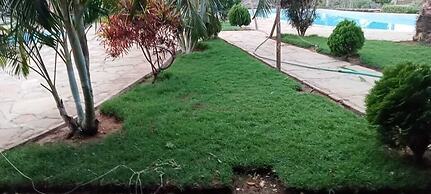 Kibwezi greenpark
