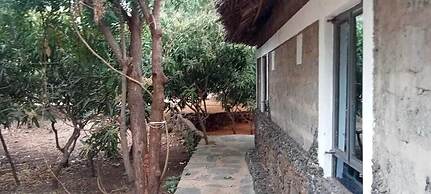 Kibwezi greenpark