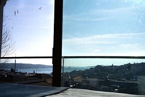 Mona Bosphorus