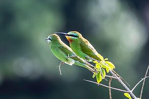 Ponta Membene