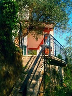 Oliva Azzurra