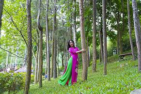 MEDDOM Park