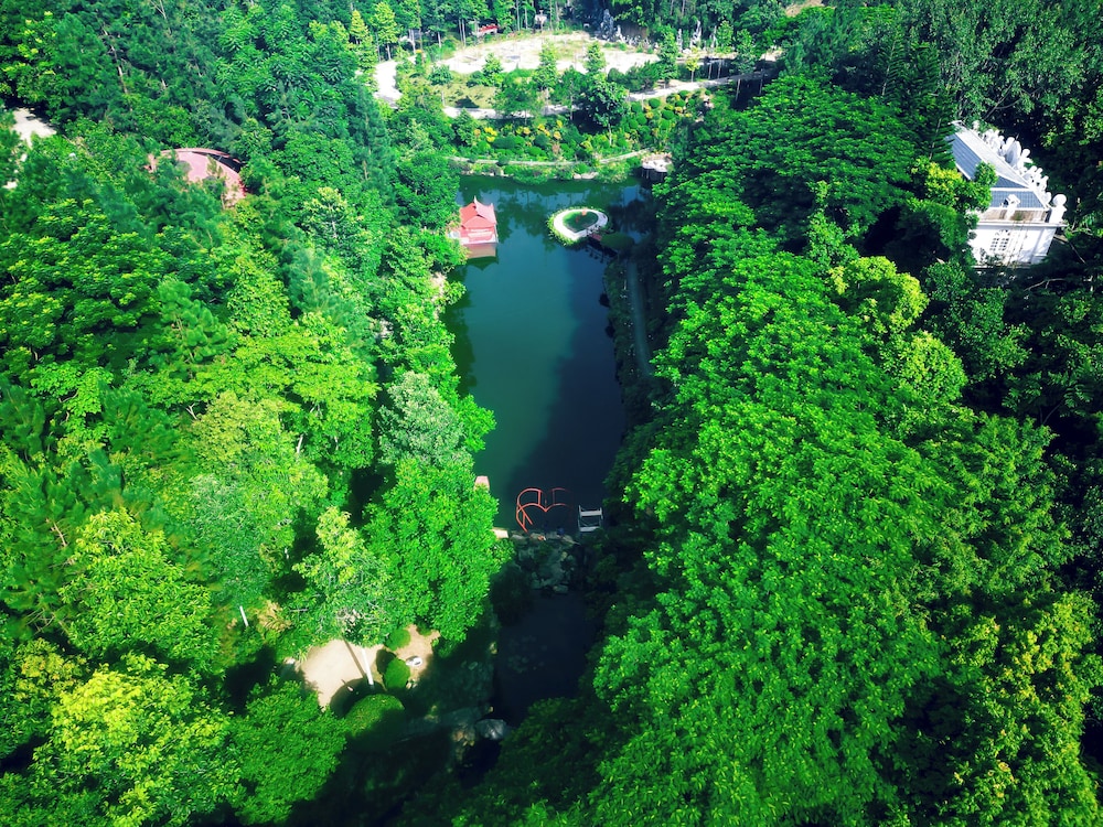 MEDDOM Park