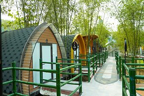 MEDDOM Park