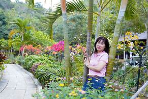 MEDDOM Park