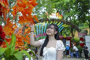 MEDDOM Park