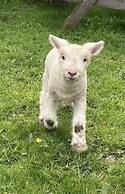 Gratton Grange Farm Holiday Cottage