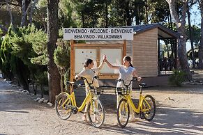 TAIGA Conil