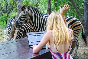 Kruger Park Hostel