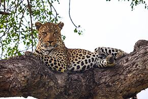 Kruger Park Hostel