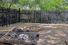 Kruger Park Hostel