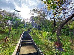 CED Garden