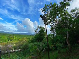 CED Garden