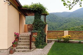 Dilivita Rest House