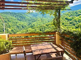 Dilivita Rest House