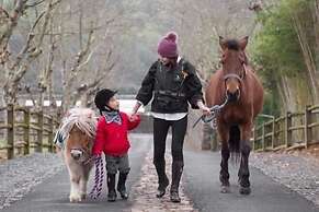 Naked Stables