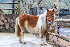Naked Stables
