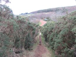Kestrel, Longhouse Cottages