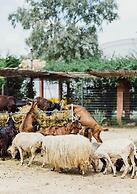 Blerina's Village Project