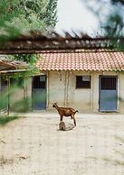 Blerina's Village Project