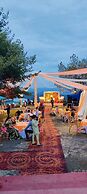 Saiva Hill Resort