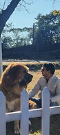 Saiva Hill Resort