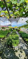 Grapevine Garden