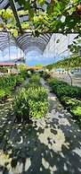 Grapevine Garden