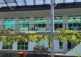 Grapevine Garden