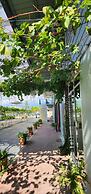 Grapevine Garden