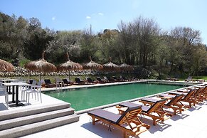 Olivia's Hill Resort