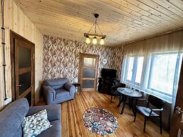 Wooden nice house
