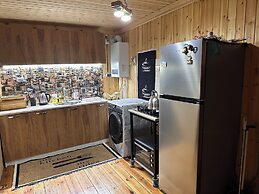 Wooden nice house