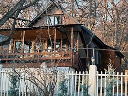 Wooden nice house