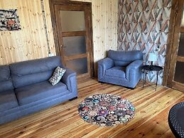 Wooden nice house