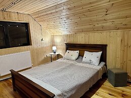 Wooden nice house