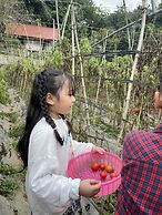 Farmstay Ban Bua