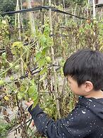 Farmstay Ban Bua