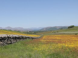 Rowan