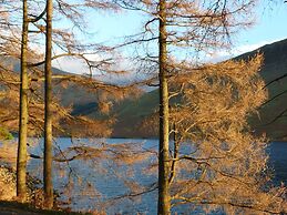 Beech