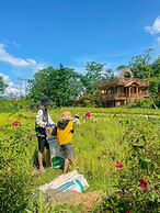 Pu Luong Jungle Lodge