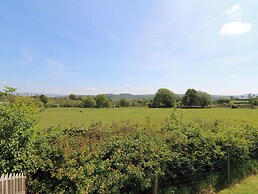 Hill Radnor - The Sheepfold