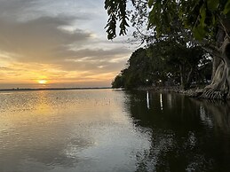 Allure Yala