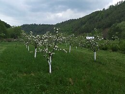 Pensiunea Livada Amely