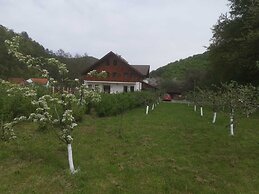 Pensiunea Livada Amely