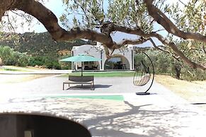 Villa in the Mountains Hammamet